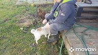 Подшил крышу/ Куры/Рыбный Суп на Обед.