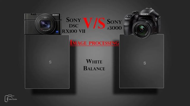 Sony DSC RX100 VII  vs Sony α3000