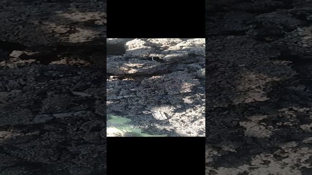 20220621_173517.mp4