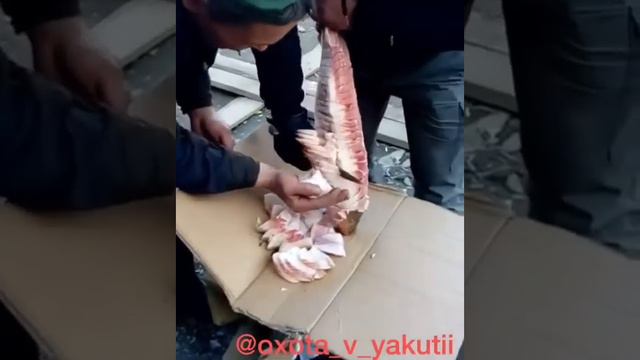 Оригинальный способ разделывания строганины
