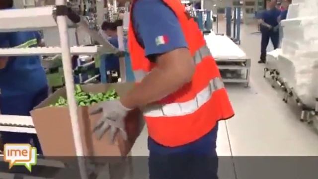 ?АКТУАЛЬНЫЕ ВАКАНСИИ (04.05)