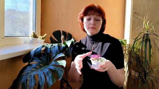 Ребуция. Уход