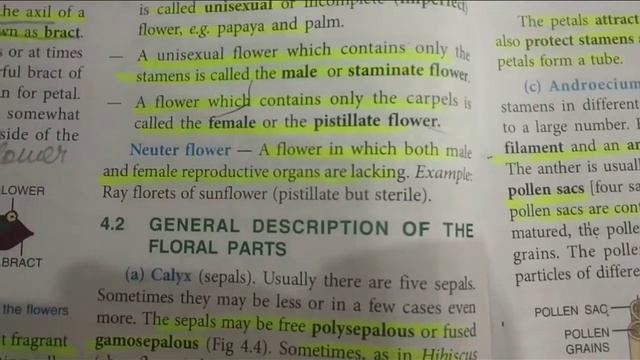 Biology | Class 9 | ICSE Board | The Flower 🌸|