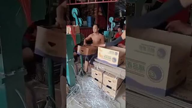 Fuck.mp4