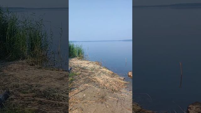 Отдых и рыбалка на озере Сингуль. #shorts