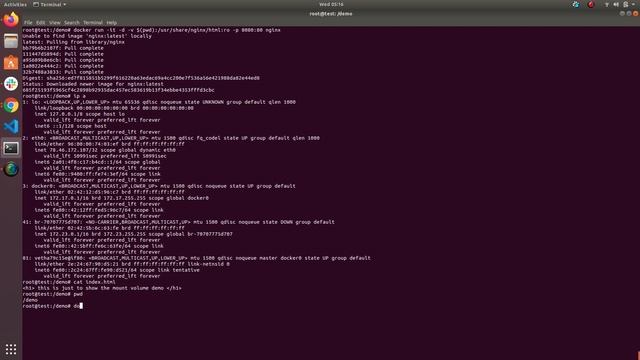docker volume with ro option