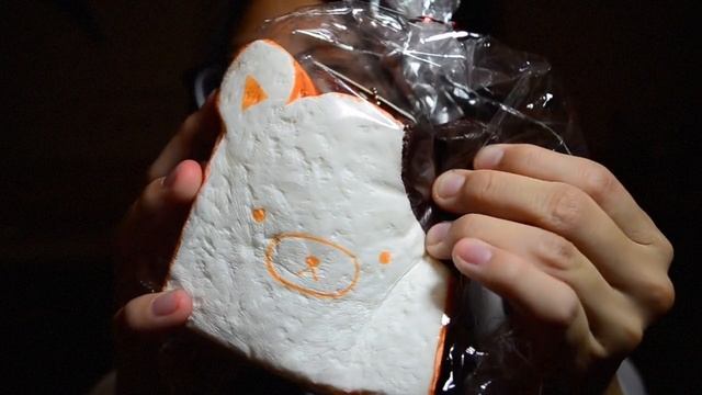 Squishies from Australia ! | Sunnymelons