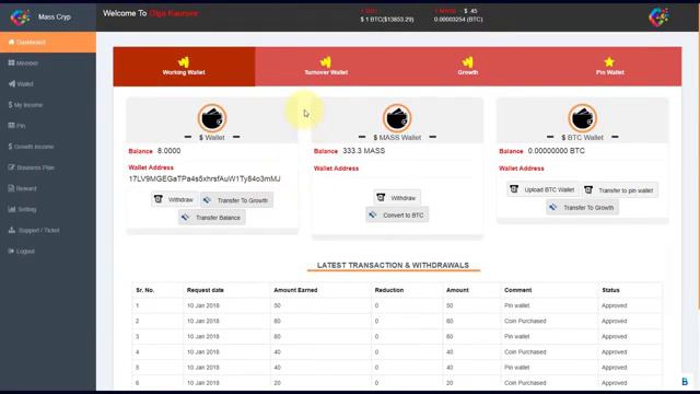 MASS CRYP. Обзор личного кабинета, вывод средств и формирование Pin