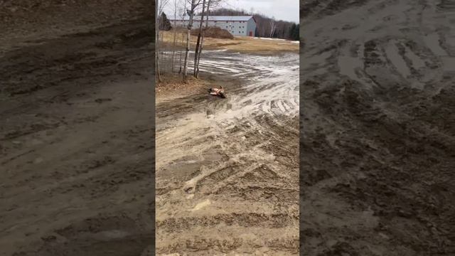 ПОЛЕТ НОРМАЛЬНЫЙ