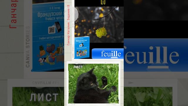 Французский язык. Алфавит и правила чтения. Буква I 3, звук [j] / French alphabet