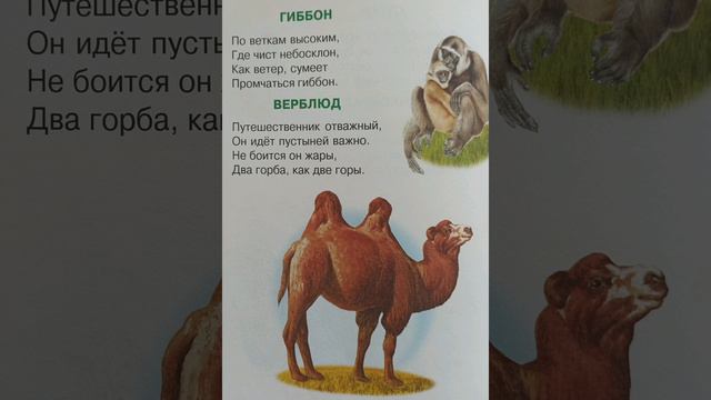Животные и птицы Азии. Стихи для детей Владимира Степанова
