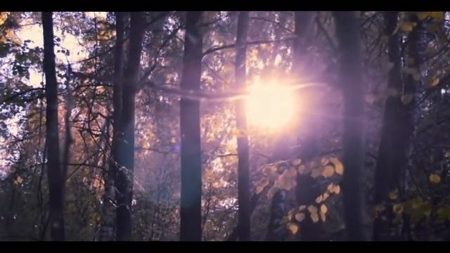 осенний сон old man studio