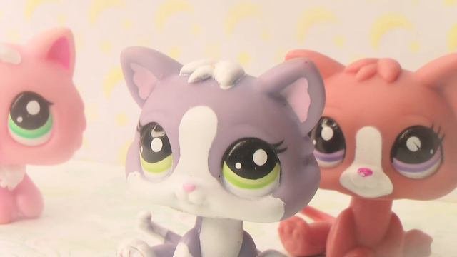 Lps: Сколько стоит вся моя коллекция