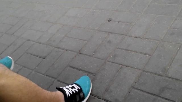 Кальмар это или рыба?!!