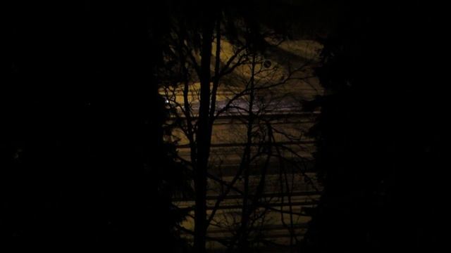 Canon PowerShot SX50 HS, totally dark conditions