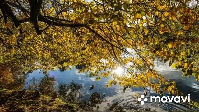 Новая Музыка для Релакса и Отдыха• Музыка для расслабления • Музыка для спокойствия•Мелодия для душ