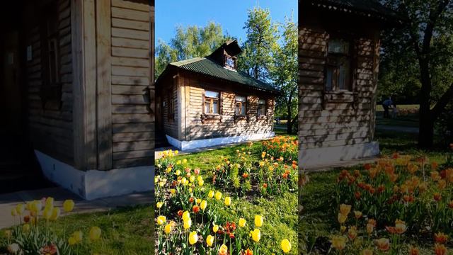 Таропутешествие #путешествие #таро #весна #отдых #природа #shortsvideo #расклад #tarot