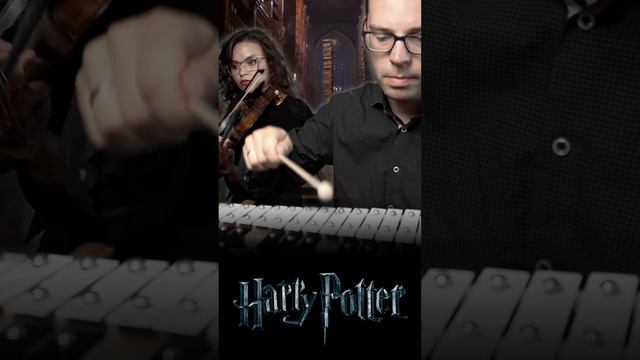 #harrypotter #muzykafilmowa #duet HARRY POTTER
