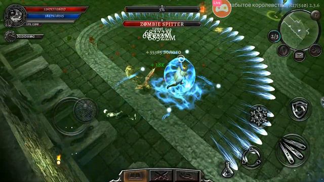 Anima arpg дракон в деле