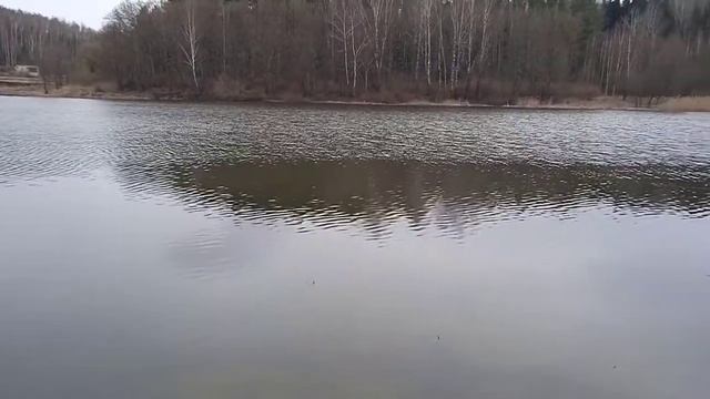 РЫБАЛКА НА УДОЧКУ С БЕРЕГА. Открываем сезон. РЫБАЛКА ВЕСНОЙ