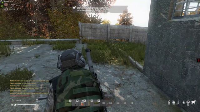dayz1
дейзи1