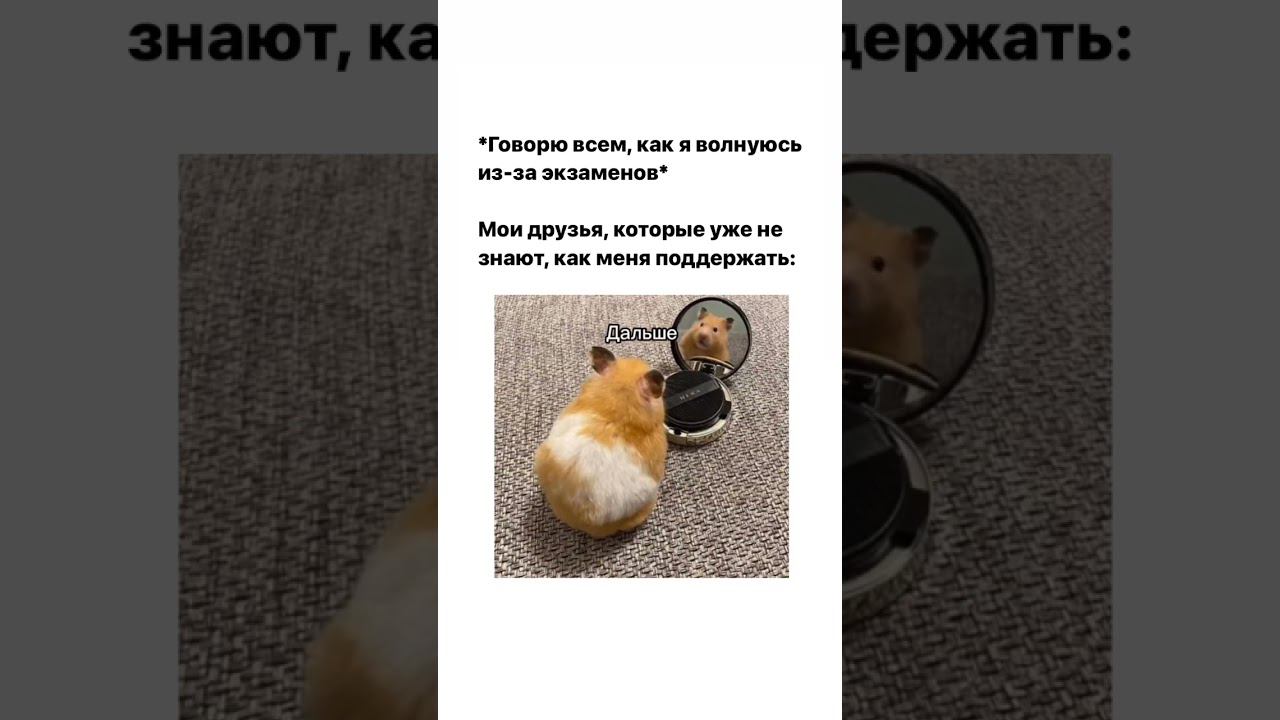 Мой куратор* #егэ #учеба