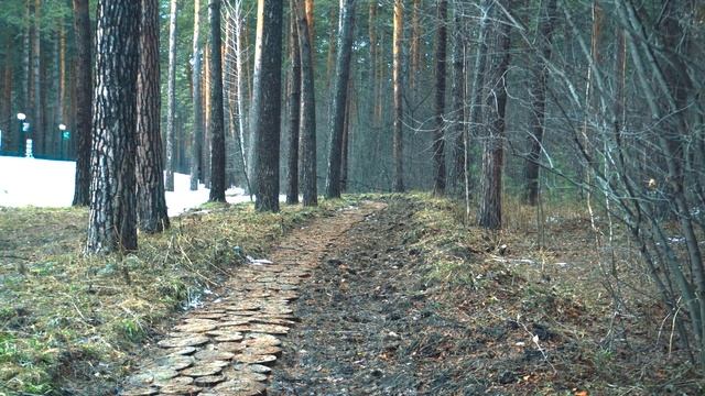 Новосибирск | Весна | Апрель 2022