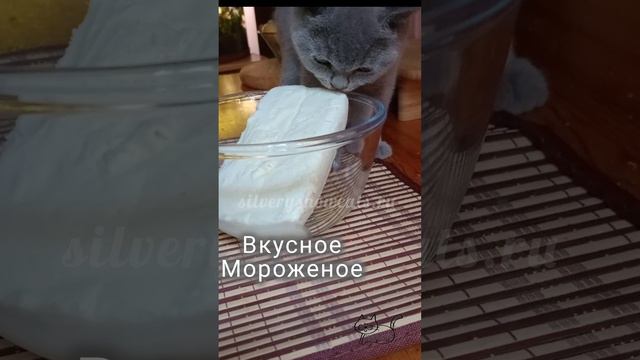 Вкусное мороженое