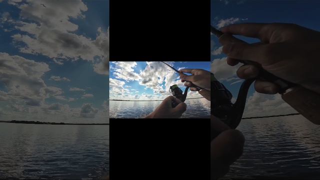 трофейный судак на джиг | CF Arion 832MHT в работе
