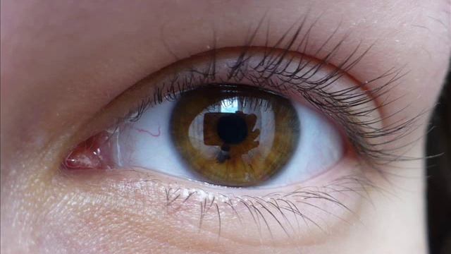 Mascara comparison - Max Factor False Lash Effect vs. 2000 Calorie