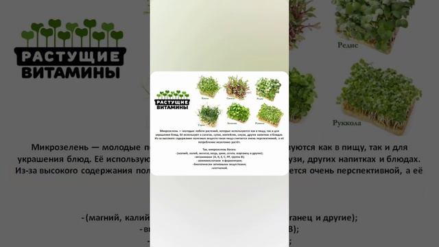 Магазин ЭкоМаркет.mp4