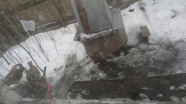 Батон белый для воробьёв в кормушке из цветочного пластикового горшка