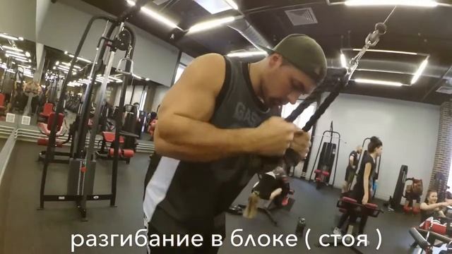 Трицепс :