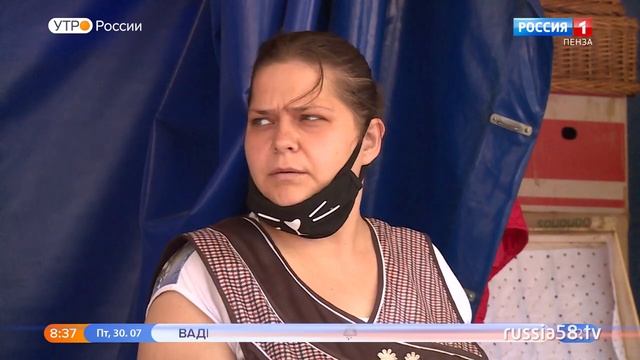 В Пензе начался сезон арбузов и дынь: как правильно выбрать спелые плоды