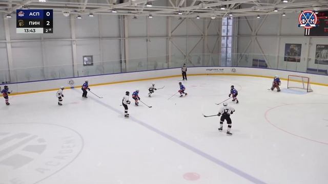 Реванш 2-7 Пингвины 17.12.2023