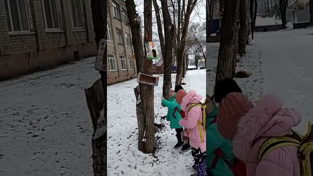 Кормим птичек после школы // Наши кормушки для птиц