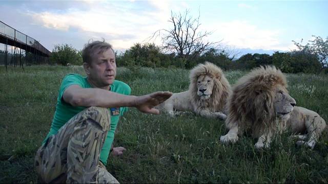 Как я покупал БЕЛЫХ ЛЬВОВ !