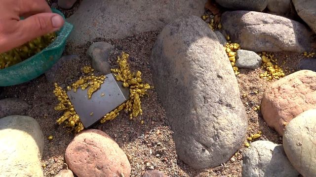 Gold pre-exists the formation of Earth: Ferromagnetic Gold, maybe Meteoritic?