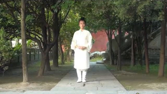 Eight Brocades、TaiYi XuanMen Sword