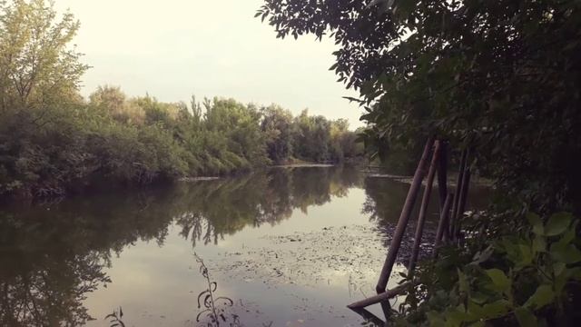 Расловка 1. Саратов. Расловка. Дача. Лето.