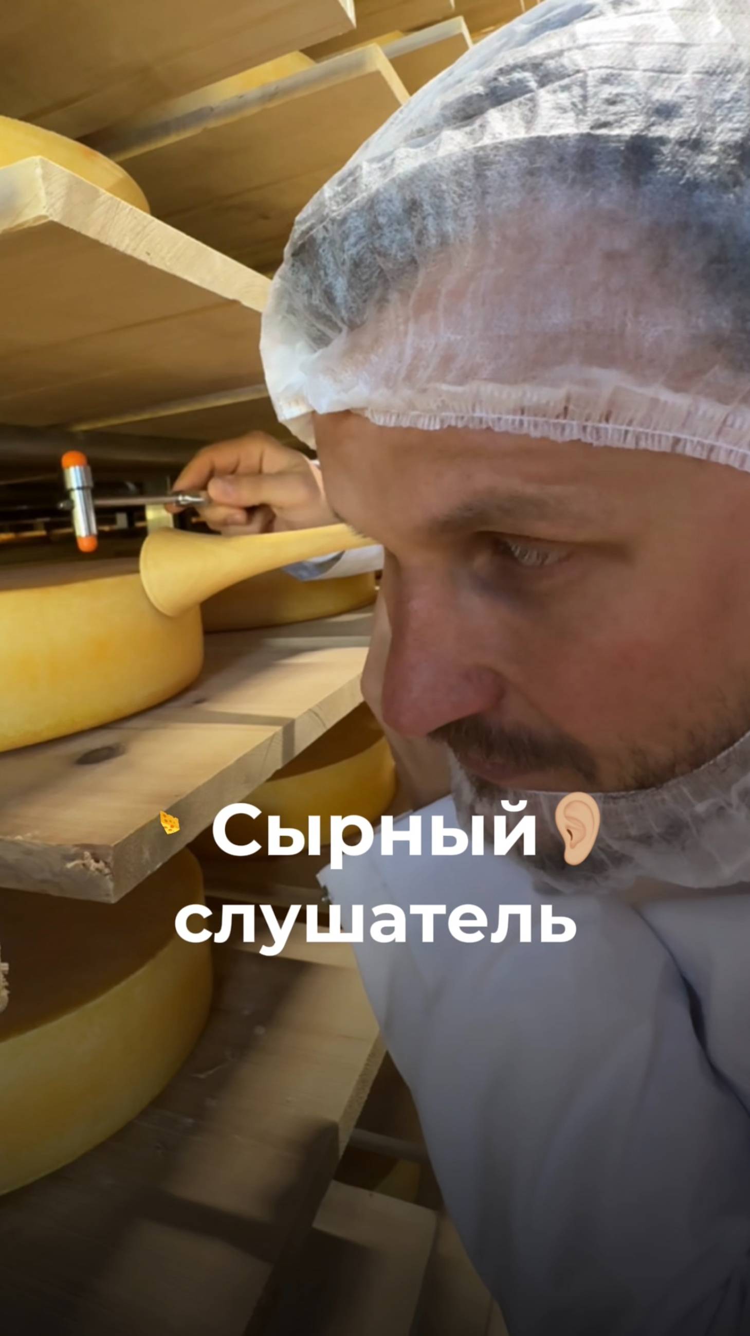 Зачем я слушаю сыр и стучу по нему молотком? 🔨🧀