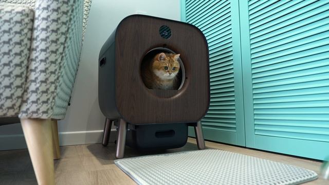 PAWBBY Self-cleaning Cat Litter Box - indispensable device