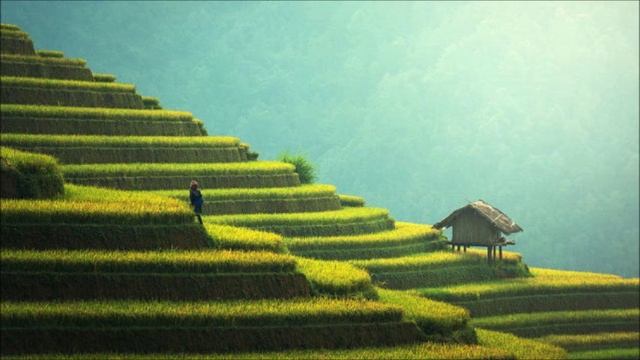 45 minute yoga musicplanet yoga music for yoga meditation and peacerelaxing yoga music for bedtim