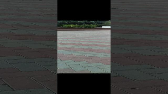 20240807_061440.mp4