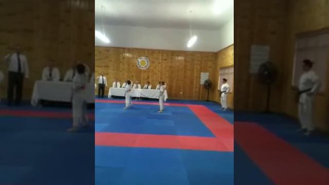 Karate grading