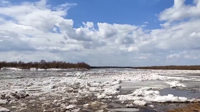 Колесниковы// Свете теперь жирное вредно// Обзор видео?//
