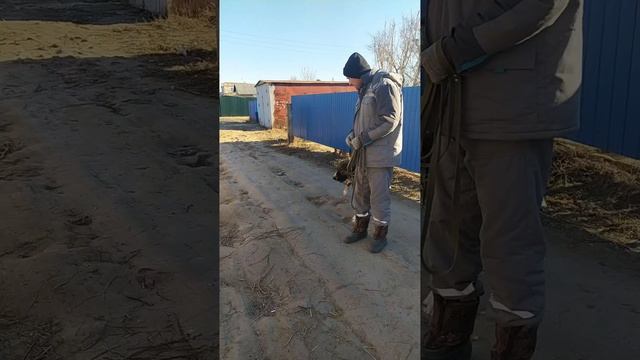 Пайда идёт на прогулку