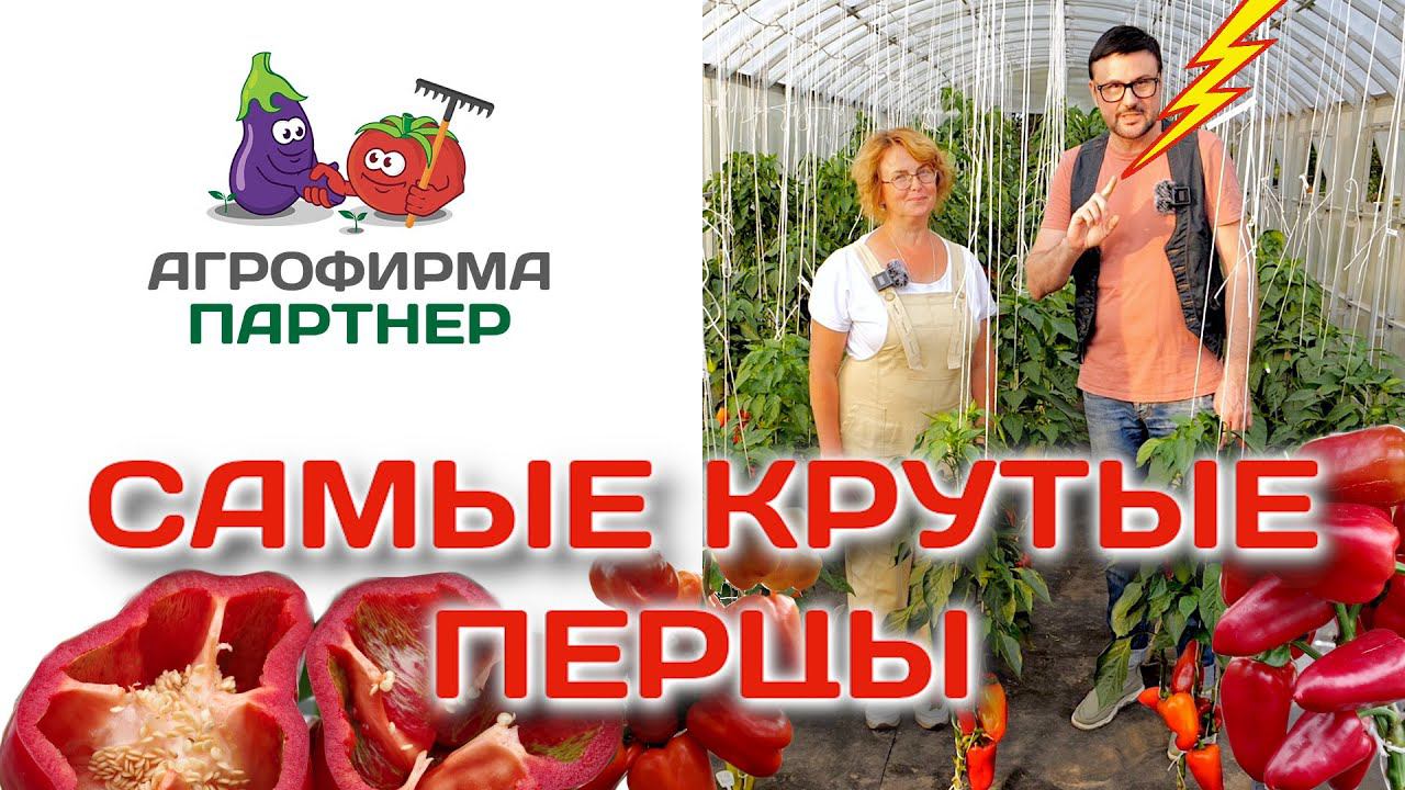 Самые крутые перцы | #огород #семена #перцы