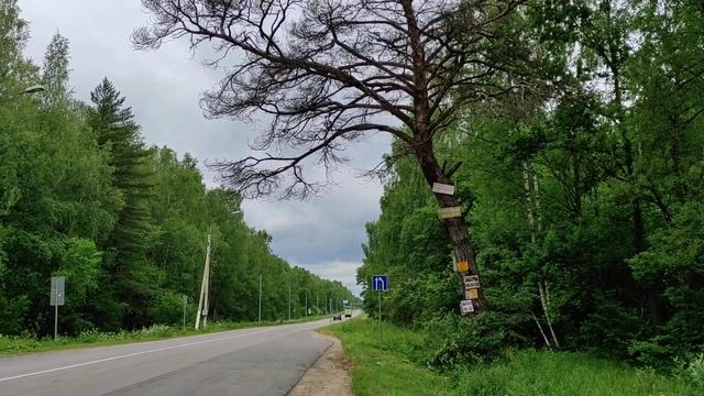 где она полоса отвода дороги
