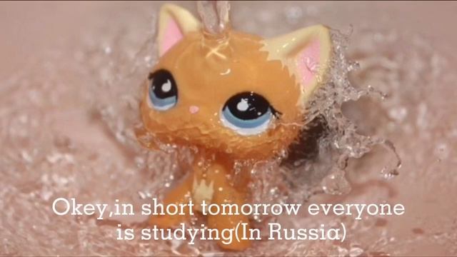 ☺️Интересная информация/ interesting information?